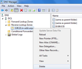 DNS Delete Zone.png